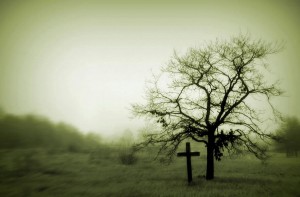 wpid-a_grave_under_the_lonely_tree_wallpaper_vgwdy.jpg